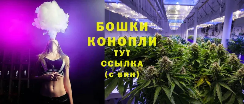 МАРИХУАНА OG Kush  Заозёрный 